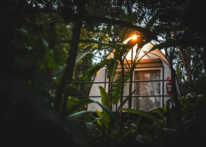 Glamping Selva Iguazu