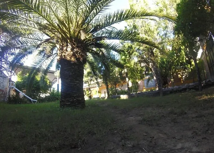 Alemar Termas