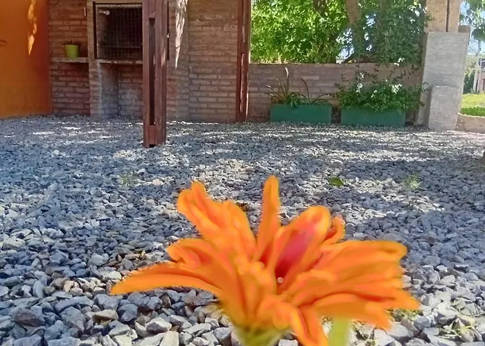 El Nogal