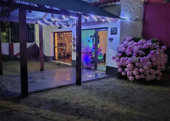 Las Violetas