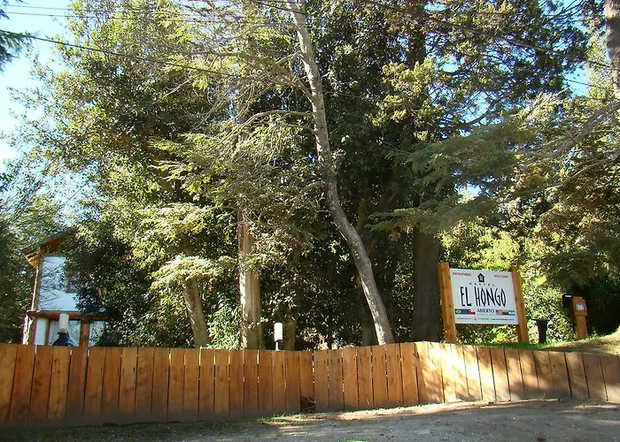 Hostel El Hongo