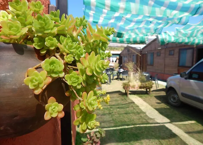 Hostal Del Suri