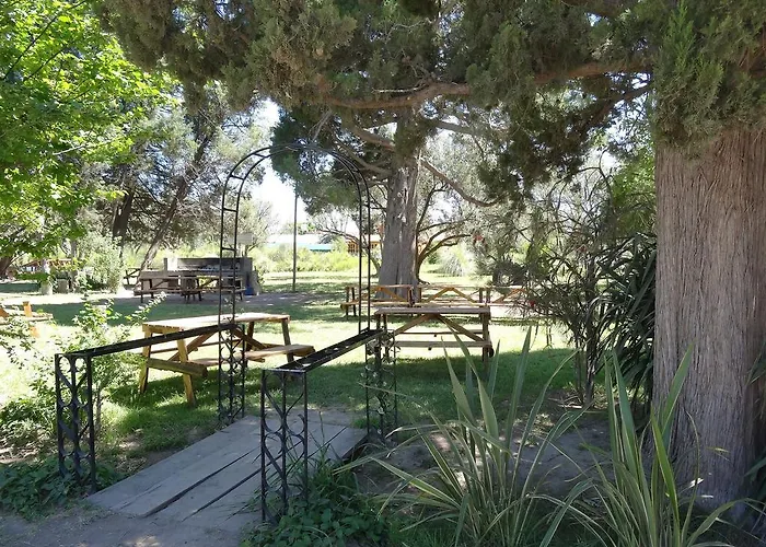 Tree House Hostel