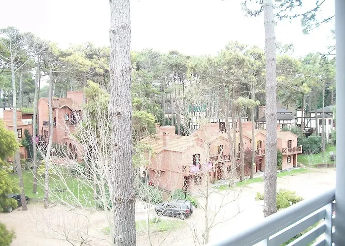 Avutarda De Carilo