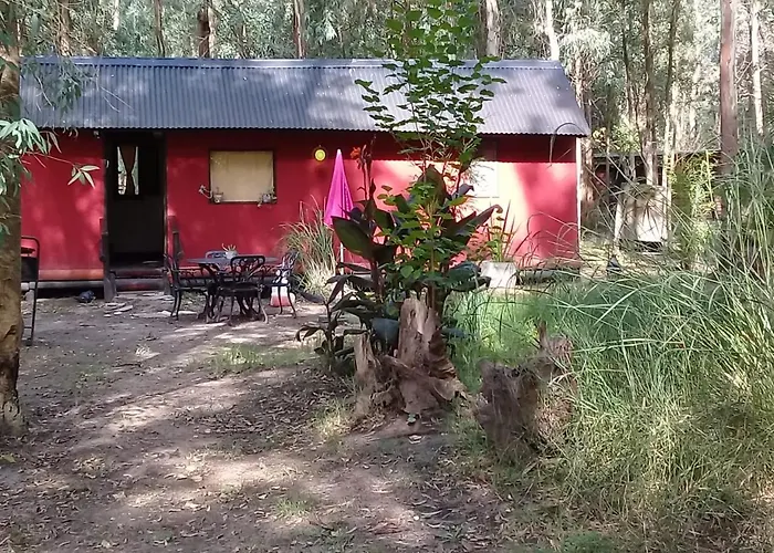 El Portal Del Bosque