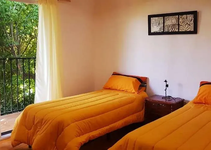 Mi Jardín