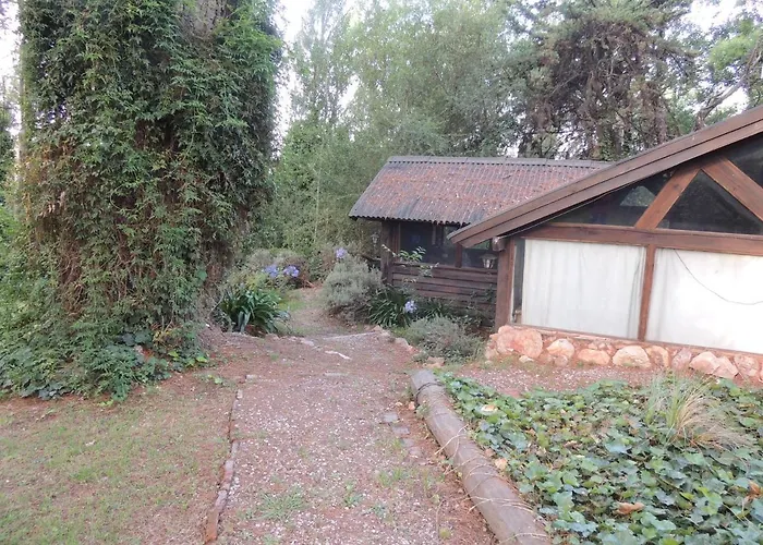 Aldea del bosque